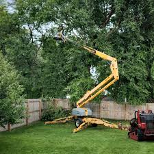 Lawn Irrigation Installation and Maintenance in Manhattan, IL