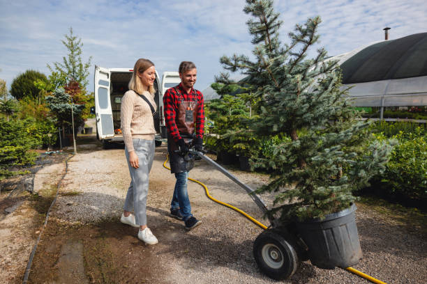 Trusted Manhattan, IL Tree Services Experts